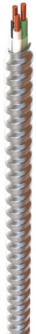 MC102C - 10/2 MC Cable